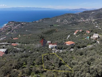 d9f3d79953ae4c0fbee3cfe474e8417a