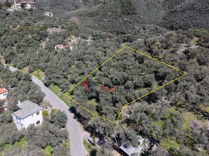 Image No.6-Property for sale