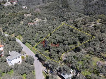 448f3f49111c4605891db234da08f020