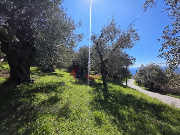 Image No.7-Property for sale