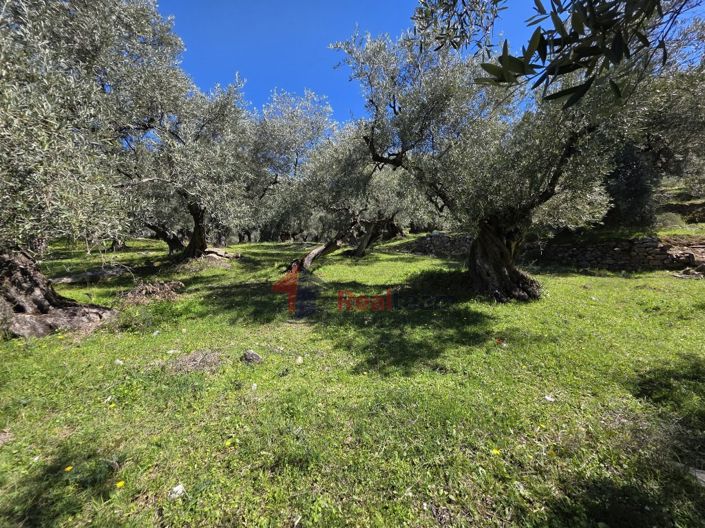 Image No.8-Property for sale