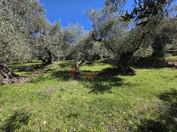 1c5ab0bd90664d61b98b8a75849bf7bb