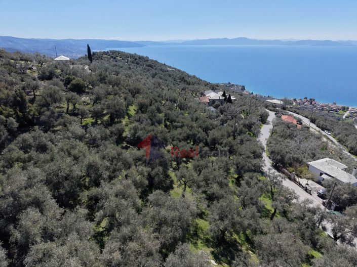 Image No.9-Property for sale