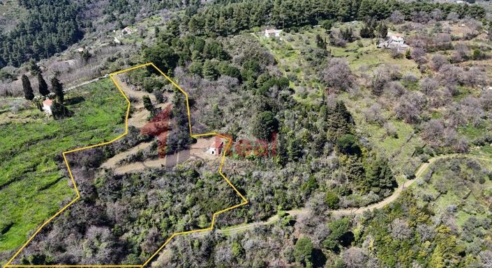 Image No.4-Property for sale