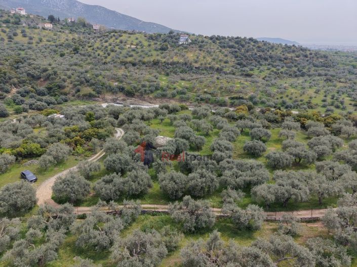 Image No.10-Property for sale