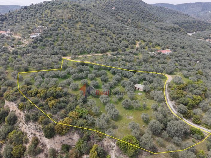 Image No.11-Property for sale