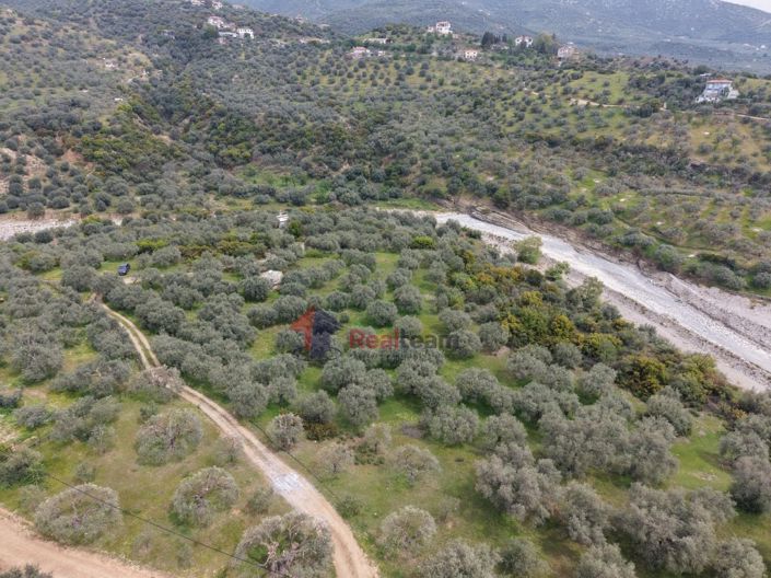 Image No.14-Property for sale
