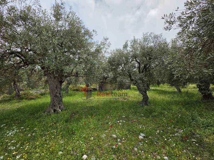 Image No.15-Property for sale