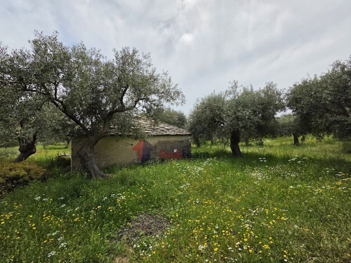 Image No.16-Property for sale