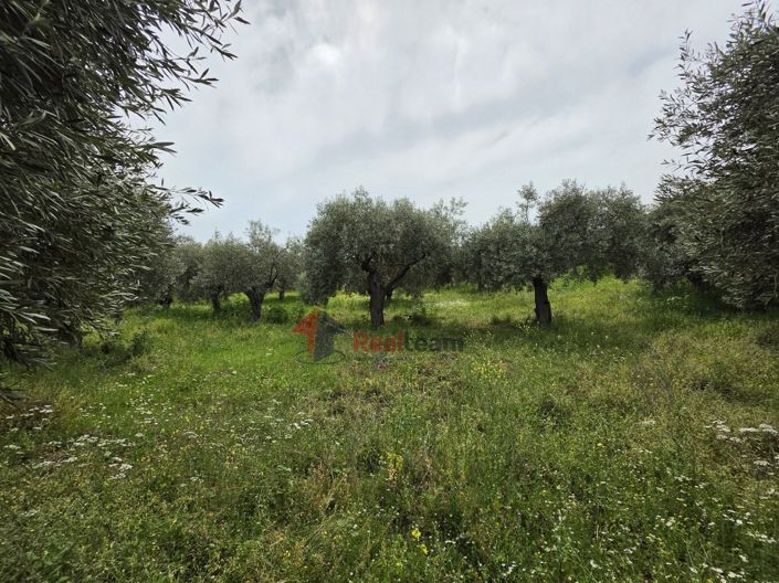 Image No.17-Property for sale