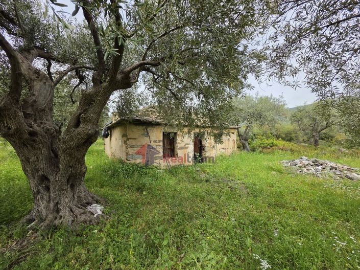 Image No.18-Property for sale