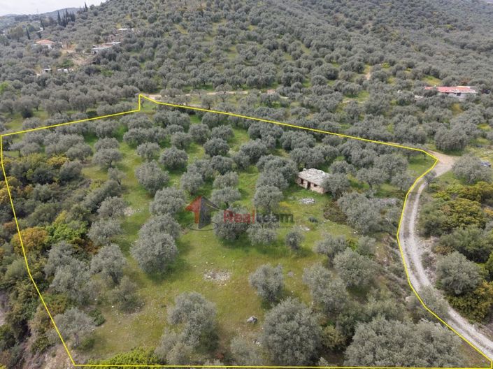 Image No.19-Property for sale