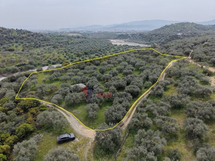 Image No.2-Property for sale