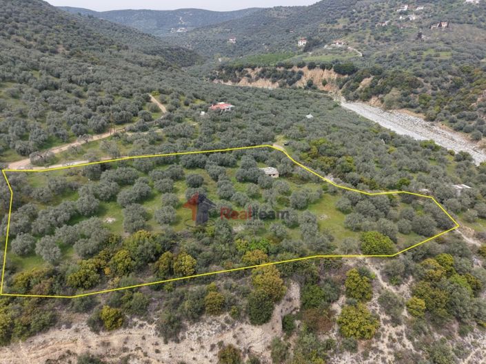 Image No.21-Property for sale