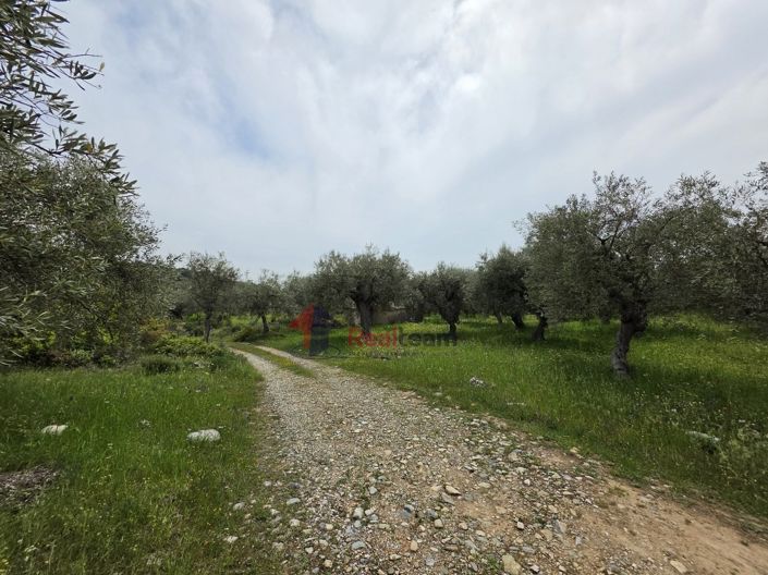 Image No.23-Property for sale