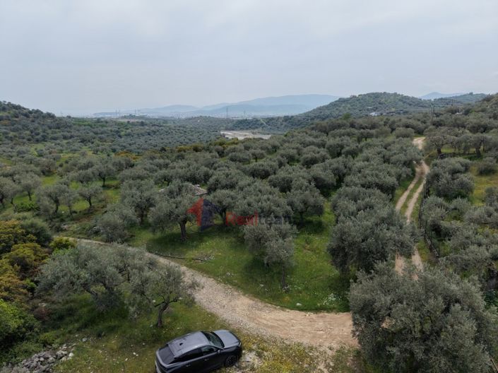 Image No.24-Property for sale