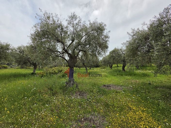Image No.26-Property for sale