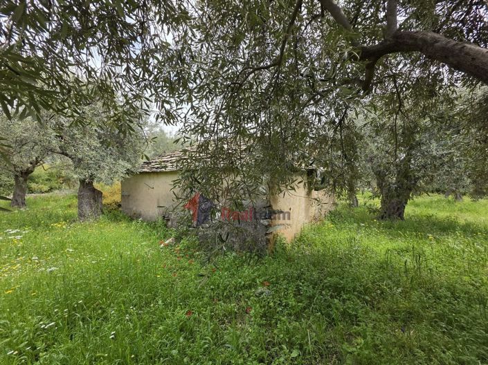 Image No.27-Property for sale