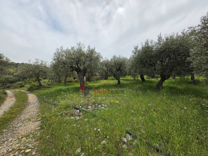 Image No.28-Property for sale