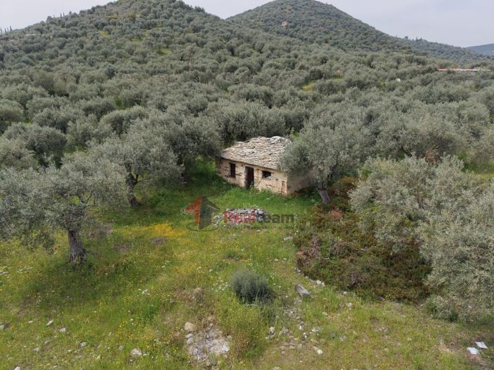 Image No.3-Property for sale