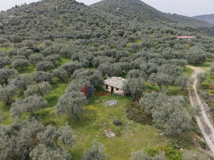 Image No.4-Property for sale