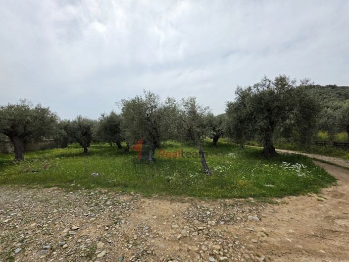 Image No.5-Property for sale
