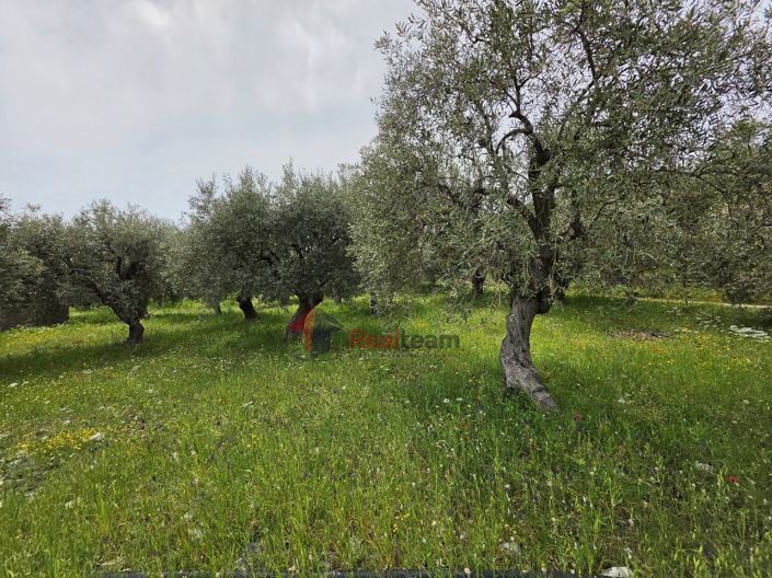 Image No.6-Property for sale