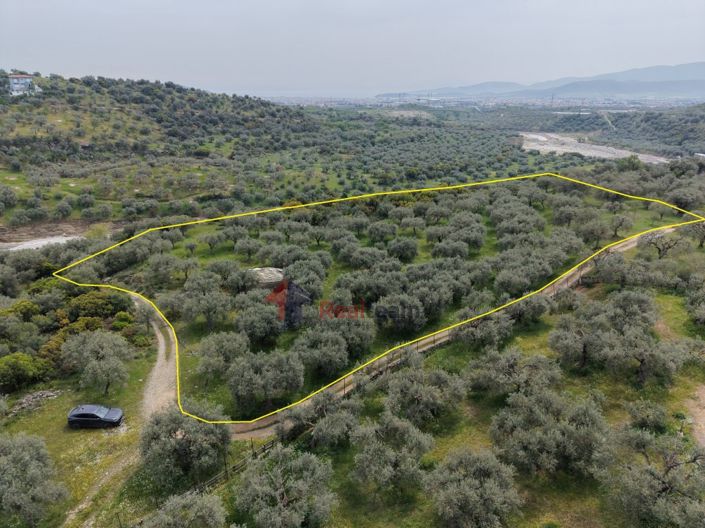 Image No.7-Property for sale