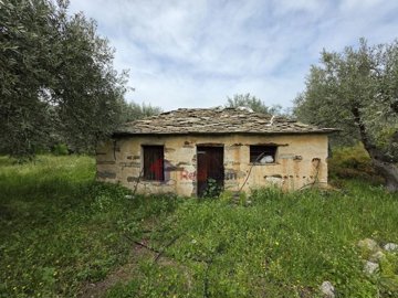 7990aaabad654bcfa55758843f04cad8