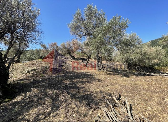 Image No.23-Property for sale