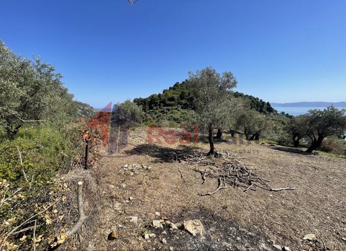 Image No.24-Property for sale