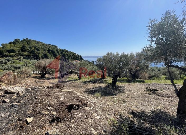 Image No.26-Property for sale