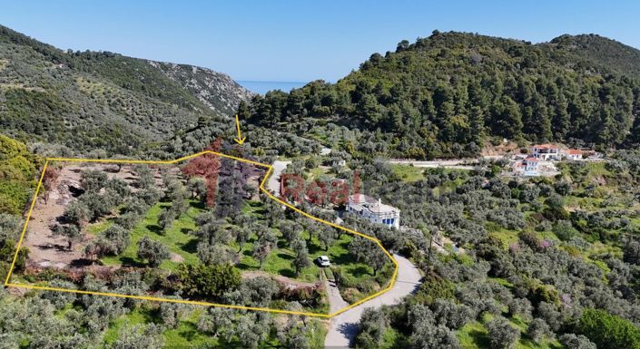 Image No.8-Property for sale