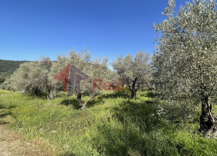 Image No.16-Property for sale