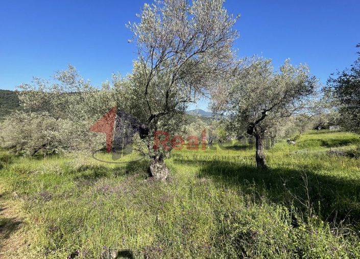 Image No.18-Property for sale