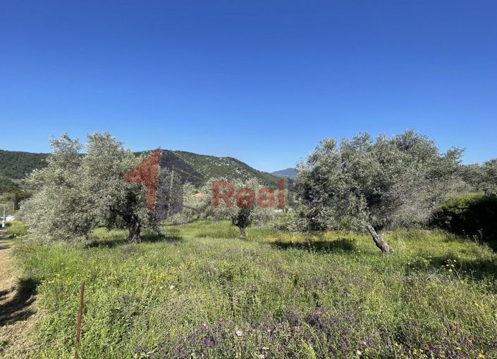 Image No.19-Property for sale