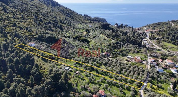 Image No.2-Property for sale