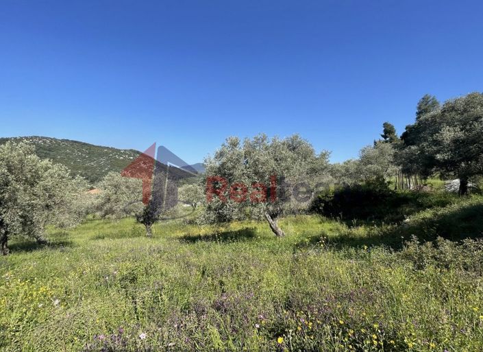 Image No.20-Property for sale