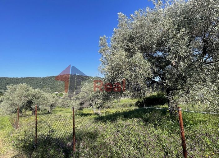Image No.21-Property for sale