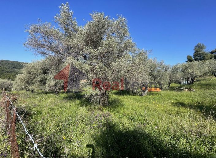 Image No.22-Property for sale