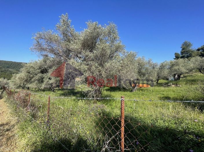 Image No.24-Property for sale