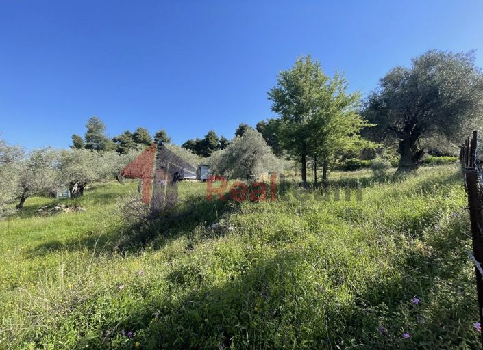 Image No.25-Property for sale