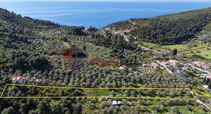 Image No.3-Property for sale