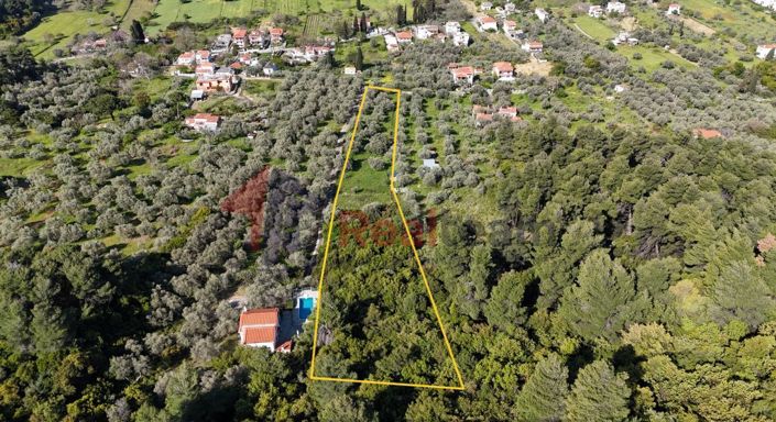 Image No.5-Property for sale
