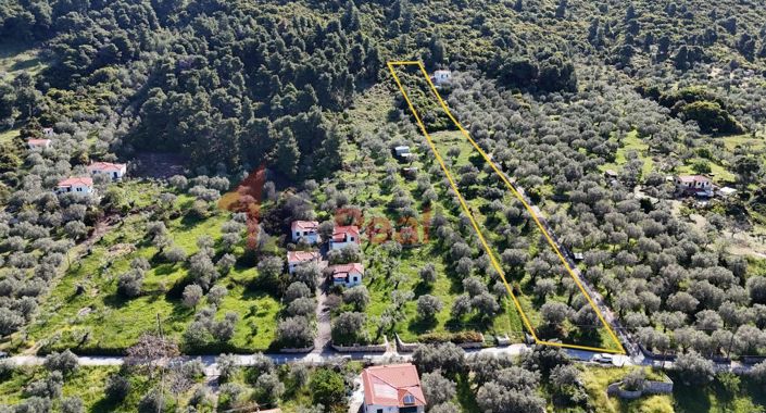 Image No.6-Property for sale
