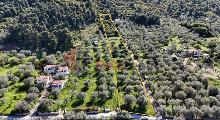 Image No.9-Property for sale