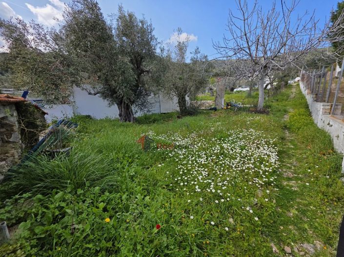 Image No.25-1 Bed Property for sale