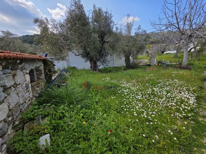 Image No.26-1 Bed Property for sale