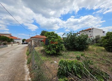 0530477e1e2647629547bf6250938012