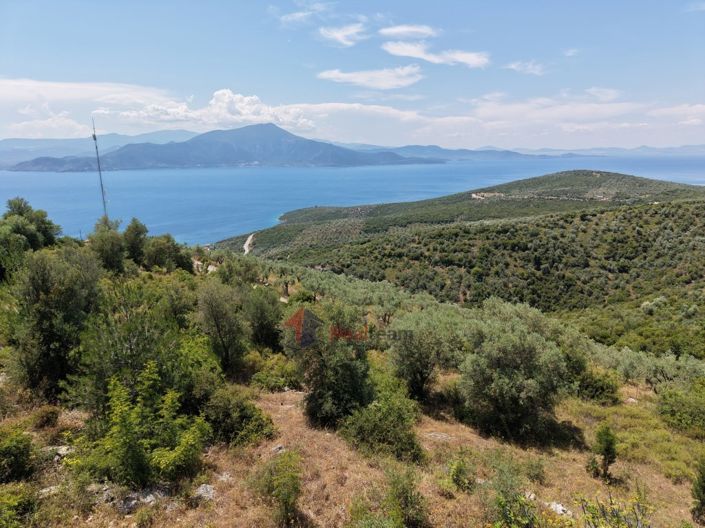 Image No.18-Property for sale